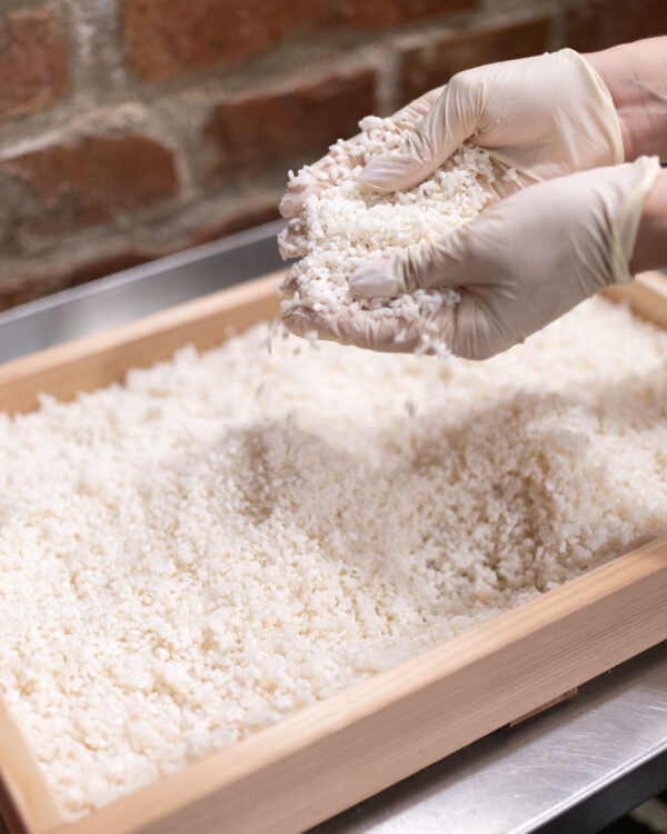 Koji, Amazake & Mirin herstellen