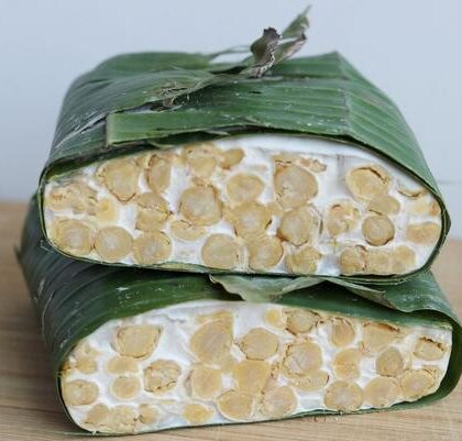 Tempeh Workshop