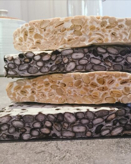 Tempeh Workshop