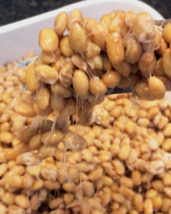 Starterkultur für Natto