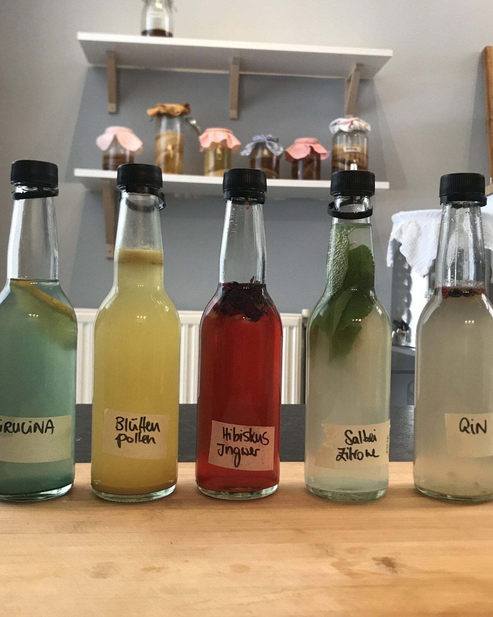 FRÜHLINGS WORKSHOP - FERMENTIERTE GETRÄNKE