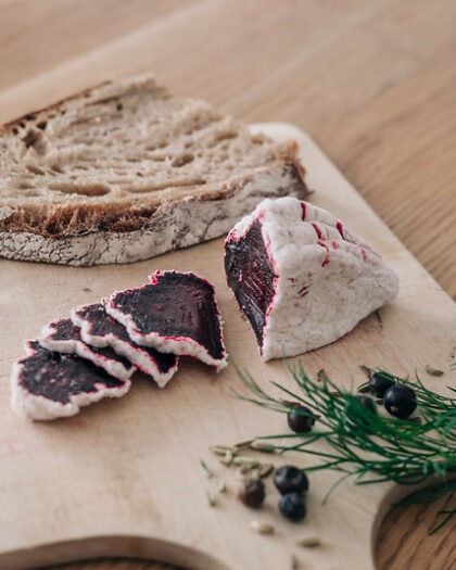 MYCELIA FOODS - Essbaren Schimmelpilzen auf der Spur
